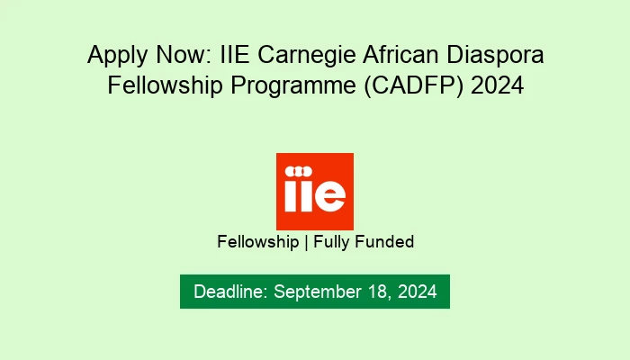 Apply Now: IIE Carnegie African Diaspora Fellowship Programme (CADFP ...