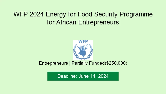 Wfp 2024 Energy For Food Security Programme For African Entrepreneurs 